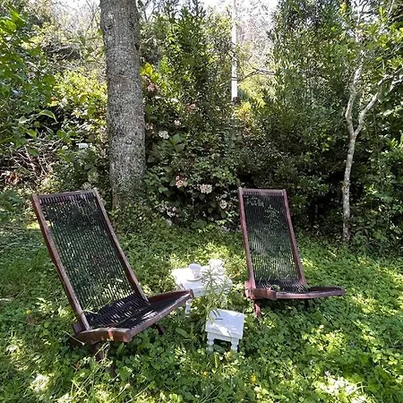 Bolboreta 4 Semesterbostad