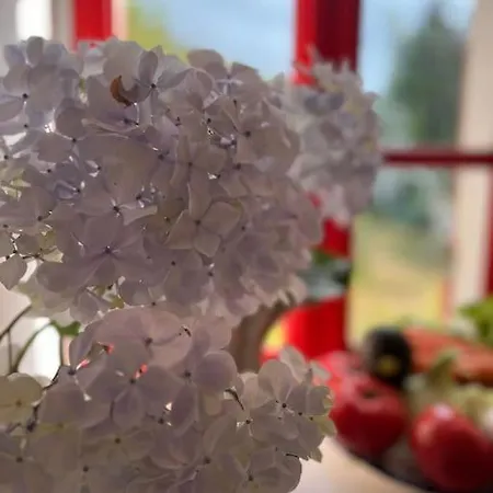 Bolboreta 4 Semesterbostad Cervo (A Coruna)