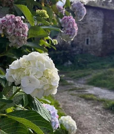 Bolboreta 4 Cervo (A Coruna)