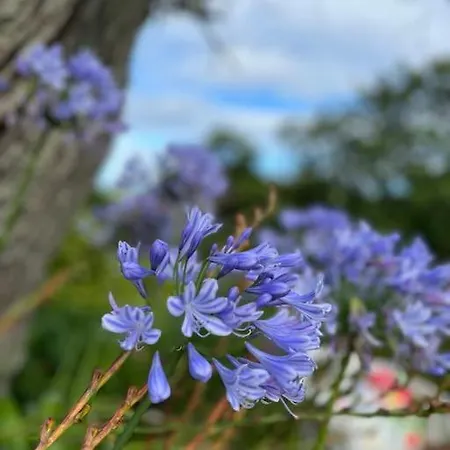 Semesterbostad Bolboreta 4 *