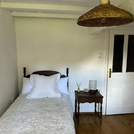 Bolboreta 4 * Cervo (A Coruna)