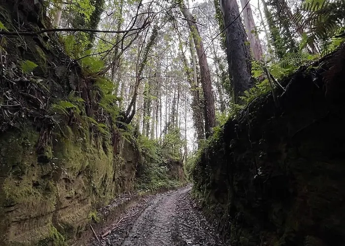 Bolboreta 4 Cervo (A Coruna)