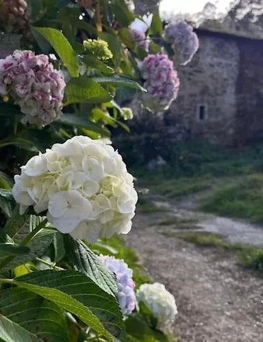 Bolboreta 4 Cervo (A Coruna)